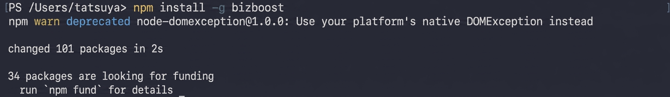 npm install -g bizboost の実行結果